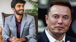 After D Gukesh's World Conquering Feat, Congratulations From Elon Musk