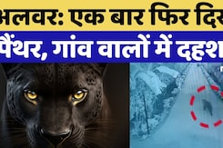 Panther Movement in Alwar: जंगल से बस्ती में आया पैंथर, गांव वालों में दहशत! Alart जारी