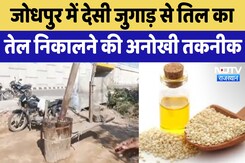 Jodhpur में देसी जुगाड़ से तिल का तेल निकालने की अनोखी तकनीक Jodhpur में देसी जुगाड़ से तिल का तेल निकालने की अनोखी तकनीक
