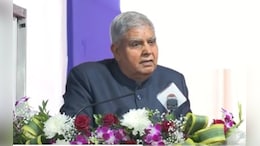 "Why Promises To Farmers Not Met": Vice President To Government