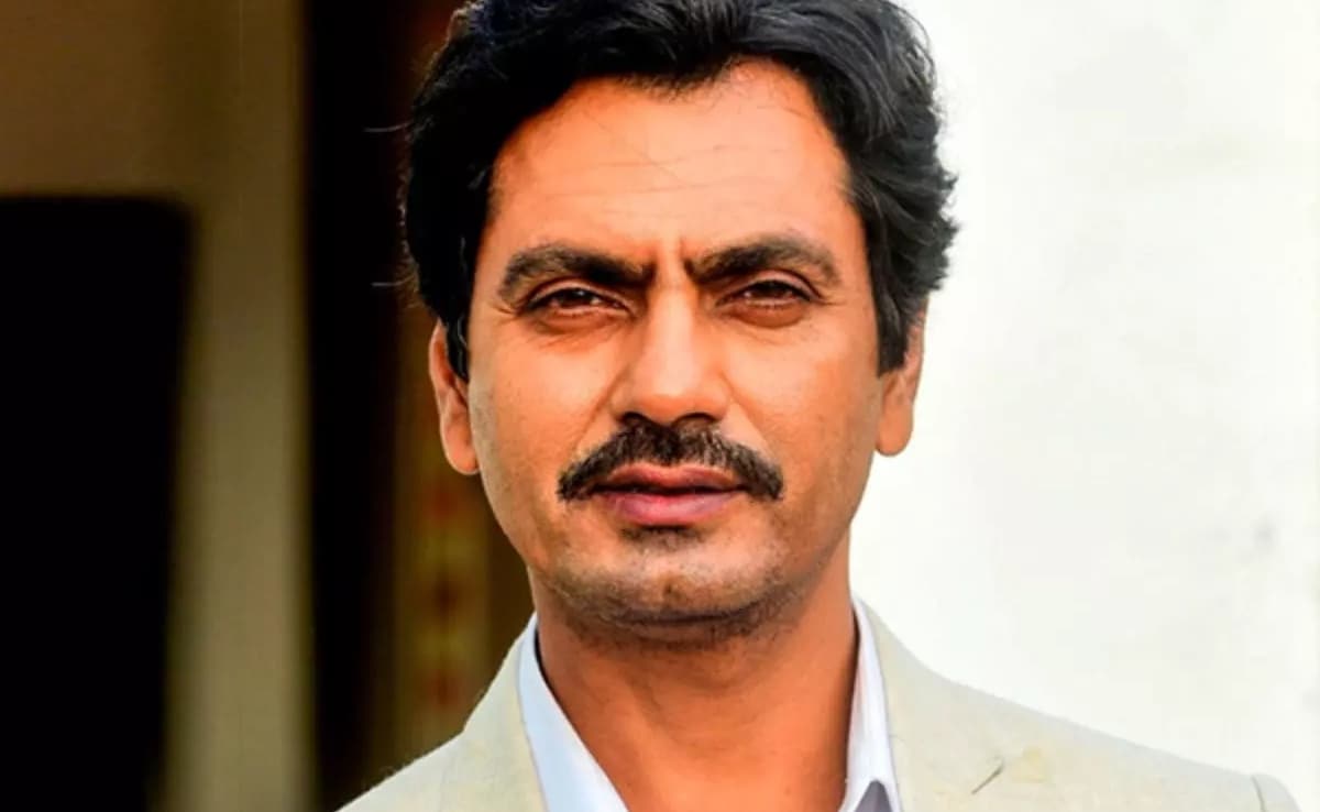 नवाजुद्दीन सिद्दीकी की फिल्मों का बॉक्स ऑफिस कलेक्शन जान चौंक जाएंगे आप, दो 200 करोड़ पार