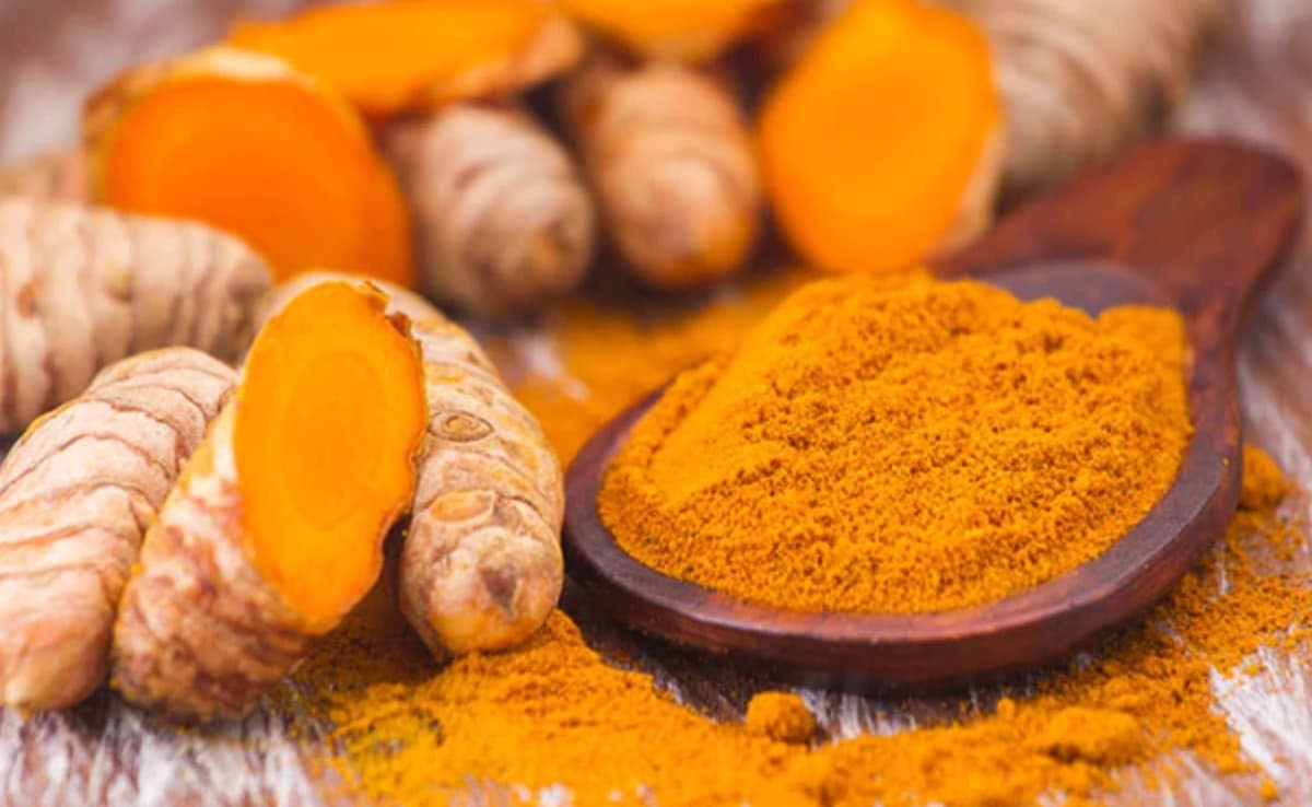 Latest and Breaking News on NDTV Latest and Breaking News on NDTV