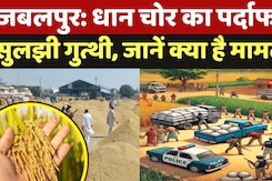 Jabalpur Dhan News: धान चोर का पर्दाफाश, Police ने 48 घंटों में ही सुलझाई गुत्थी, क्या है मामला? Jabalpur Dhan News: धान चोर का पर्दाफाश, Police ने 48 घंटों में ही सुलझाई गुत्थी, क्या है मामला?