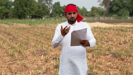 Rajasthan: बीमा कंपनियों के पास अटका है किसानों का 2 हजार करोड़, सरकार ने शुरू की निस्तारण की प्रक्रिया