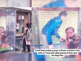Tamil Nadu Bakery Pays Tribute To Ratan Tata With 7-Foot Cake Sculpture Tamil Nadu Bakery Pays Tribute To Ratan Tata With 7-Foot Cake Sculpture