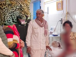 Leopard Attack: उदयपुर में लेपर्ड ने मां के सामने बेटी पर क‍िया हमला, गले और चेहरे पर मारा पंजा; खून से लथपथ 