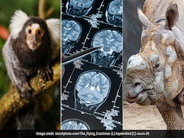 From Super-Earth To Anti-HIV Drug: Top 10 Science Breakthroughs In 2024 From Super-Earth To Anti-HIV Drug: Top 10 Science Breakthroughs In 2024