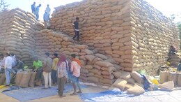 Korea: धान उपार्जन केंद्रों में मनमानी! किसानों से जबरन वसूली के लगे आरोप, मजदूरी का बोझ बढ़ा