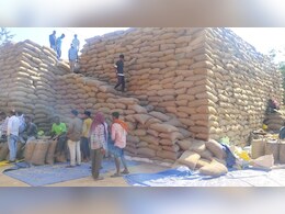 Korea: धान उपार्जन केंद्रों में मनमानी! किसानों से जबरन वसूली के लगे आरोप, मजदूरी का बोझ बढ़ा