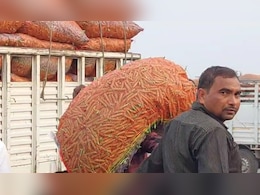 Jabalpur Mandi: किसानों को मिली राहत, हरे मटर ने चेहरों पर लौटाई खोई हुई मुस्कान 