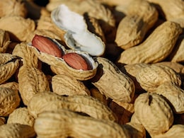 गहलोत ने उठाया मूंगफली के MSP पर खरीदने का मुद्दा, बीजेपी विधायक ने कहा- 'कांग्रेस ने कितने दाने खरीदी थी'