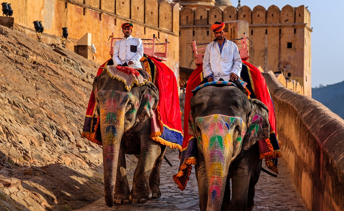 Latest and Breaking News on NDTV