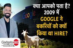 Gadgets 360 With Technical Guruji: 2009 में Google ने बकरियों को क्यों किया था Hire? Gadgets 360 With Technical Guruji: 2009 में Google ने बकरियों को क्यों किया था Hire?