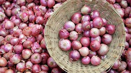 Onion Market: कांदा उत्पादकांवर नवे संकट! बांगलादेशकडून आयात शुल्कात वाढ; निर्यात घसरणार