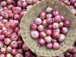 Onion Export Duty: शेतकऱ्यांसाठी आनंदाची बातमी! कांद्यावरील 20 टक्के निर्यात शुल्क हटवले, केंद्र सरकारचा मोठा निर्णय Onion Export Duty: शेतकऱ्यांसाठी आनंदाची बातमी! कांद्यावरील 20 टक्के निर्यात शुल्क हटवले, केंद्र सरकारचा मोठा निर्णय