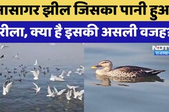 Ajmer की Anasagar Lake जिसका पानी हुआ जहरीला, क्या है इसकी असली वजह?