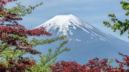 Chinese Man Rescued Twice In One Week From Mount Fuji After He Returns To Retrieve Phone
