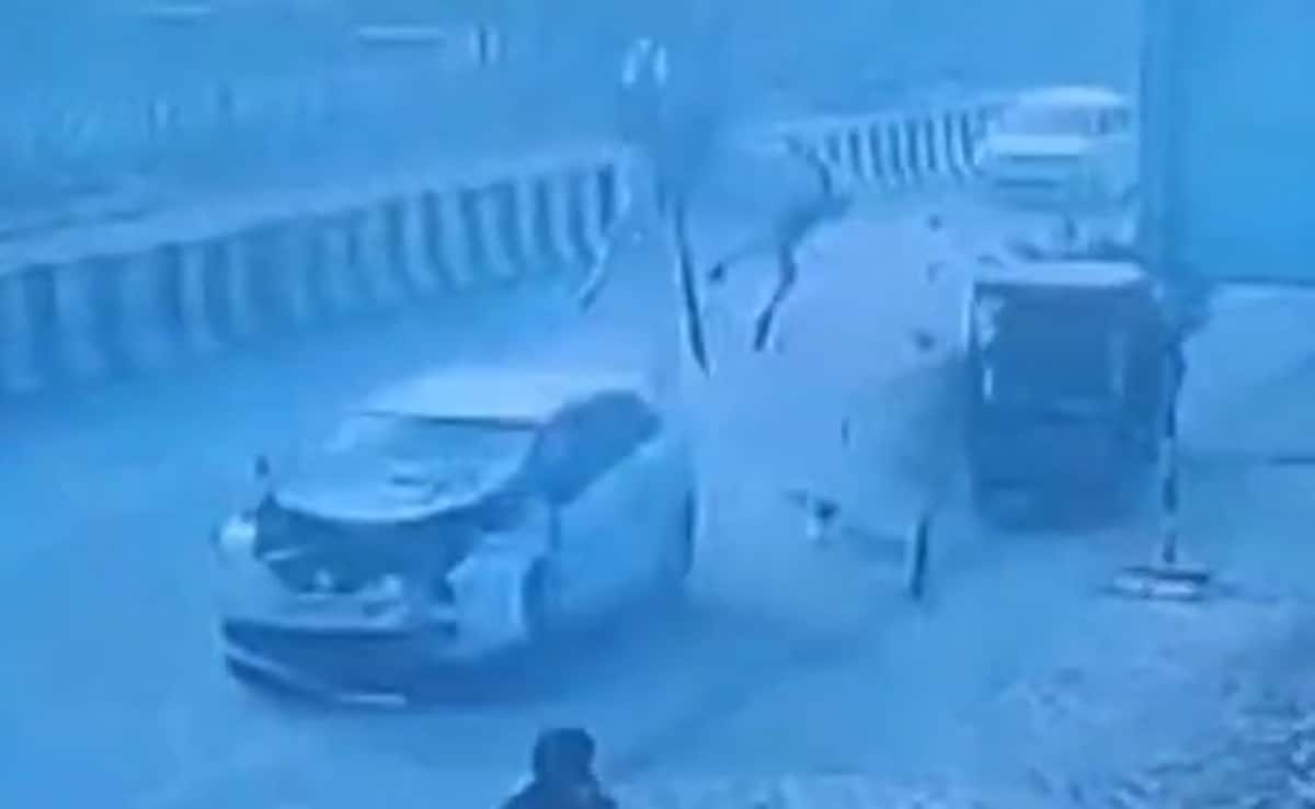 Horse Flung In Air After Speeding Car Rams Buggy On UP Highway, Dies