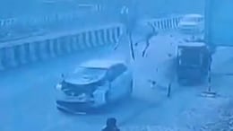 Horse Flung In Air After Speeding Car Rams Buggy On UP Highway, Dies