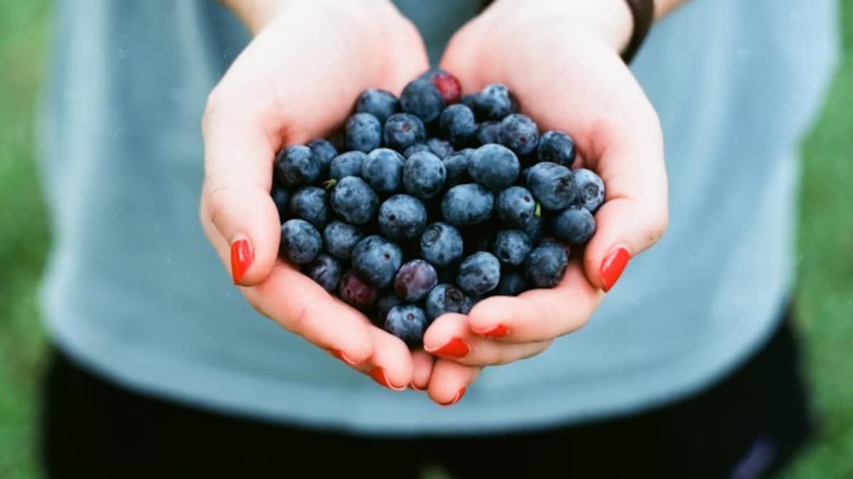 Blueberries vs. Kala Jamun: Nutritionist Compares Health Benefits