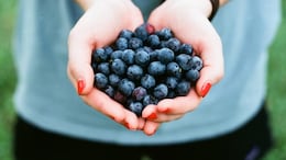 Blueberries Vs Kala Jamun: Which One Is Healthier? Find Out From A Nutritionist