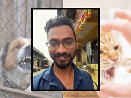 भटका कुत्रा आणि मांजर चावल्याने तरुणाचा मृत्यू, कल्याणमधील धक्कादायक घटना