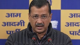 Luxury Items At Arvind Kejriwal's 'Sheeshmahal' Being Probed: BJP