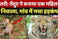Dhamtari Panther Attack: तेंदुए ने बनाया एक महिला  को निवाला, गांव में मचा हड़कं, मिली आधी रात