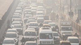 Is Poor Air Quality Making Dengue Recovery Harder? Punjab Doctors Raise Alarm