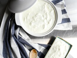 How To Keep Curd Fresh And Creamy In Summer: 6 Proven Tips For Storing How To Keep Curd Fresh And Creamy In Summer: 6 Proven Tips For Storing