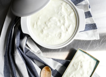 How To Keep Curd Fresh And Creamy In Summer: 6 Proven Tips For Storing How To Keep Curd Fresh And Creamy In Summer: 6 Proven Tips For Storing