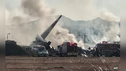 South Korea Plane Crash : केवळ 2 प्रवासी बचावले, दक्षिण कोरिया अपघातात 179 प्रवाशांचा मृत्यू
