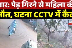 Dhar में सालों पुराना पेड़ गिरा, महिला की मौत, बच्चे समेत दो घायल