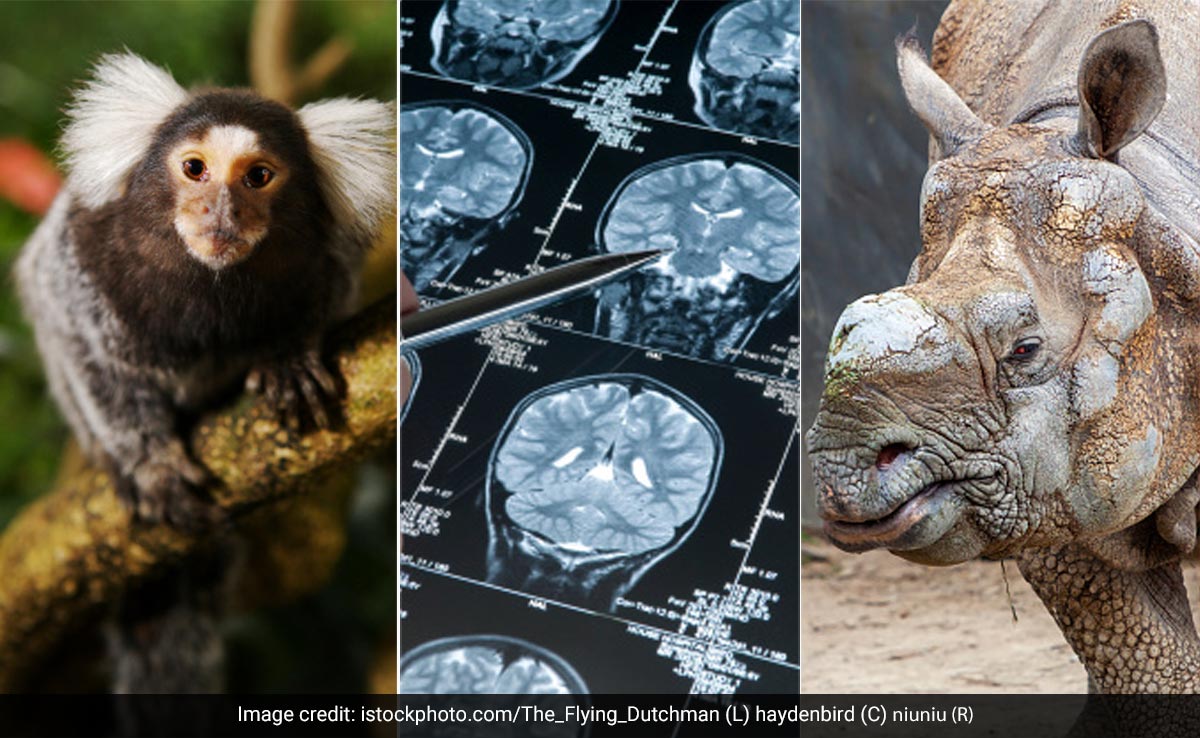 From Super-Earth To Anti-HIV Drug: Top 10 Science Breakthroughs In 2024