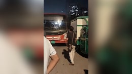 BEST Bus Accident Kills 1 In Mumbai Days After Deadly Crash