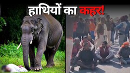 Elephant Attack: शौच करने घर से बाहर निकला था किसान, हाथी के पैर के नीचे आकर हुई मौत, परिजनों ने किया चक्का जाम