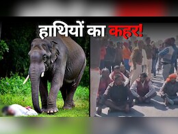 Elephant Attack: शौच करने घर से बाहर निकला था किसान, हाथी के पैर के नीचे आकर हुई मौत, परिजनों ने किया चक्का जाम Elephant Attack: शौच करने घर से बाहर निकला था किसान, हाथी के पैर के नीचे आकर हुई मौत, परिजनों ने किया चक्का जाम