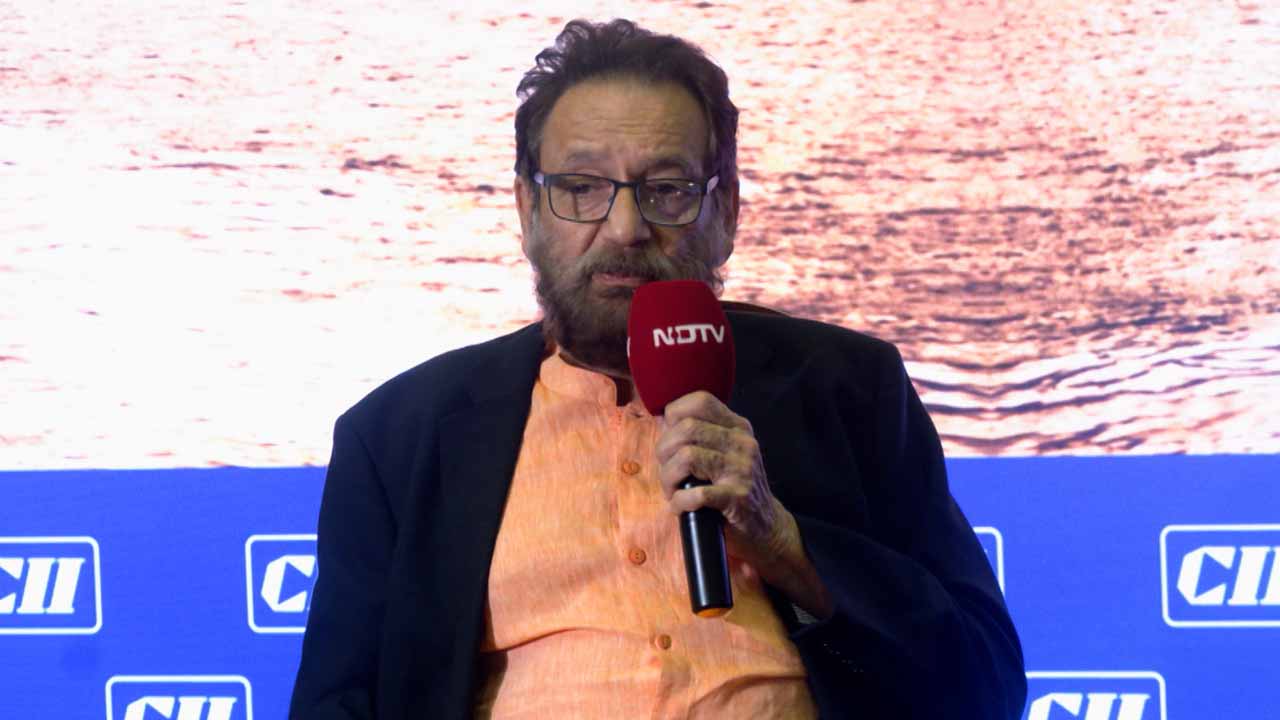 Shekhar Kapur To NDTV: "We Are Facing Disneyfication Of India"