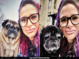 Romanian Woman's Body Found Partially Eaten By Her Pet Dogs After Mysteriously Dying At Home Romanian Woman's Body Found Partially Eaten By Her Pet Dogs After Mysteriously Dying At Home