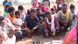 Rajasthan: जैसलमेर के बाद अब बालोतरा में नीम के पेड़ से न&zwj;िकलने लगा पानी, गांव वालों ने शुरू की पूजा&nbsp;