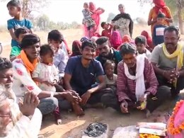 Rajasthan: जैसलमेर के बाद अब बालोतरा में नीम के पेड़ से न‍िकलने लगा पानी, गांव वालों ने शुरू की पूजा 