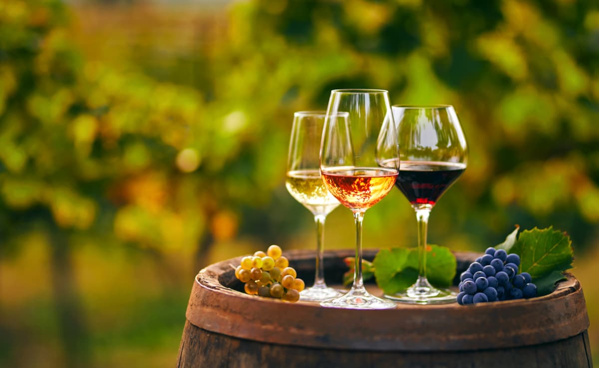 Когато планирате бягство през уикенда в Индия лозята може да