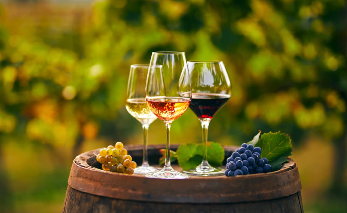 Opinion: Opinion | Cheers! India-New Zealand FTA Promises Wine Drinkers A New High