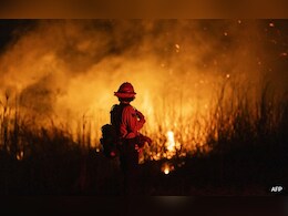 Tennis Great Pam Shriver Says Trophies Stolen After LA Fires