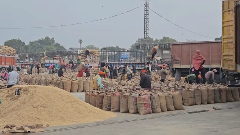Dhan Kharidi Date: धान खरीदी 15 नवंबर से होगी शुरू, सीएम साय के ऐलान के साथ ही कांग्रेस ने कर दी ये बड़ी मांग