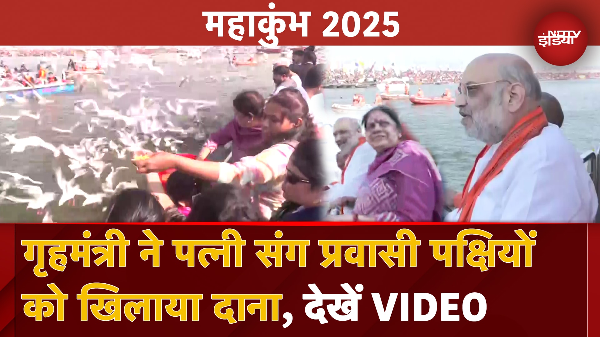 Video: Maha Kumbh 2025: गृहमंत्री Amit Shah पत्नी सोनल शाह के संग प्रवासी पक्षियों को दाना खिलाते आए नजर