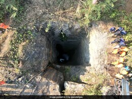 Assam Government's Massive Crackdown On Illegal Rat-Hole Mining