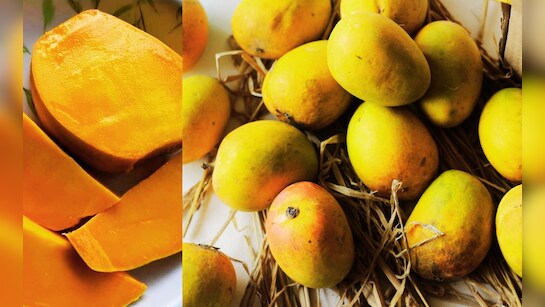Devgad Hapus Mangoes Unique Code UID Devgad Taluka Mango Producers  Cooperative Society big decision