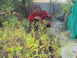 कौन है चंदन की नर्सरी का ये 'नरेश', वियतनाम, बांग्लादेश...और पाकिस्तान से आ रहे ऑर्डर