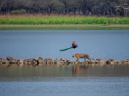 Wild, Wild Country: 5 Most Photogenic National Parks Of India Wild, Wild Country: 5 Most Photogenic National Parks Of India